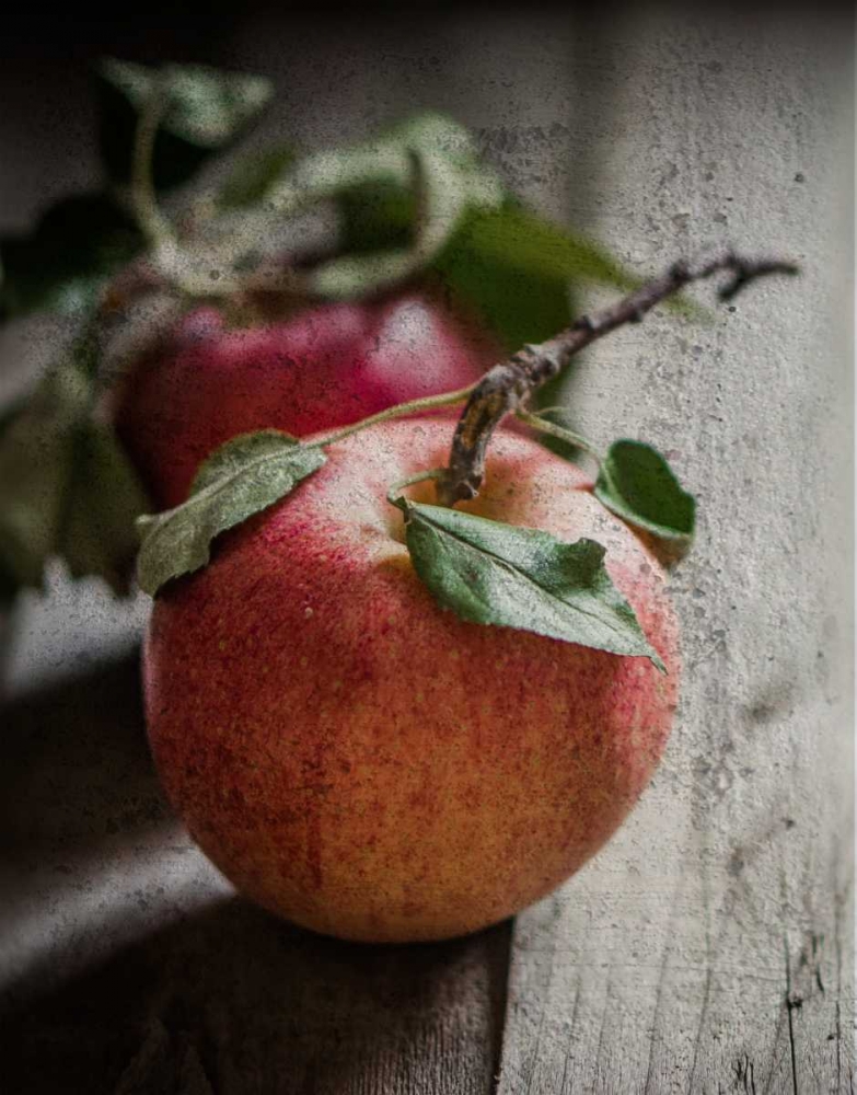 Apple Duo art print by Melody Hogan for $57.95 CAD