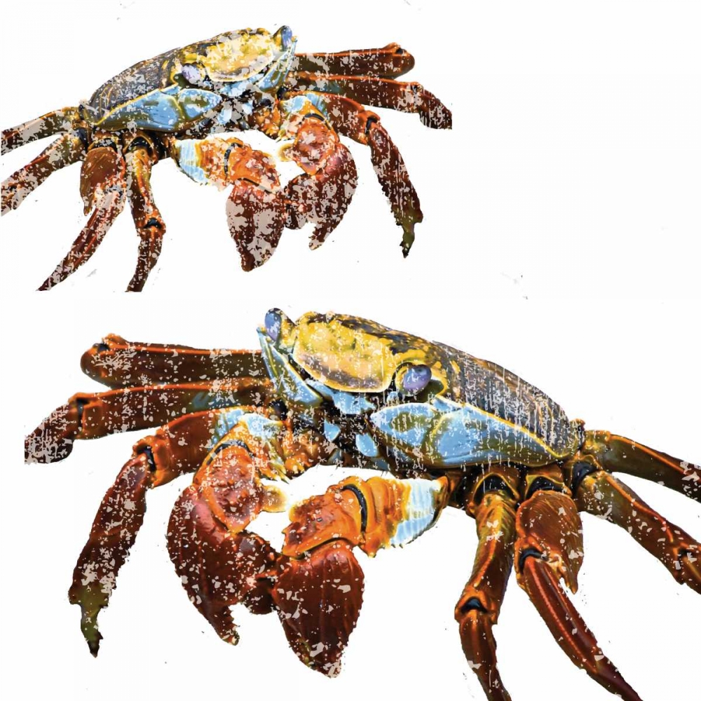 Winter Crabs art print by Melody Hogan for $57.95 CAD