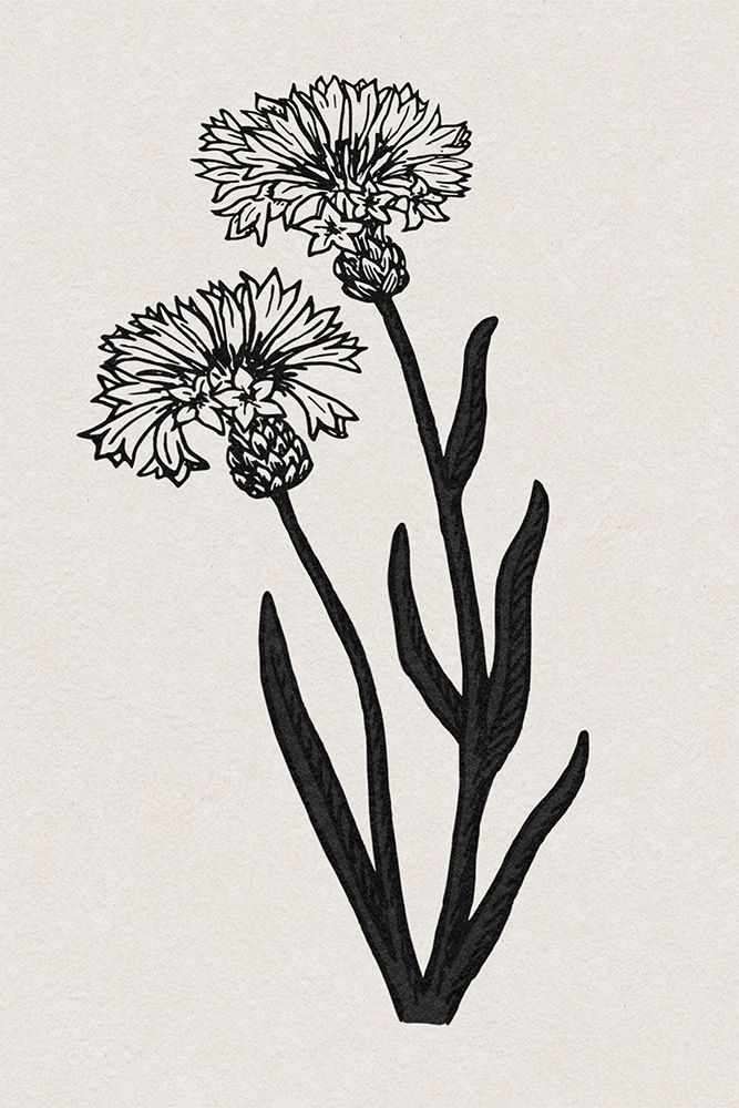 Rural Florals V2 art print by Marcus Prime for $57.95 CAD