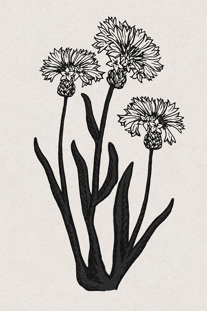 Rural Florals 2 V2 art print by Marcus Prime for $57.95 CAD