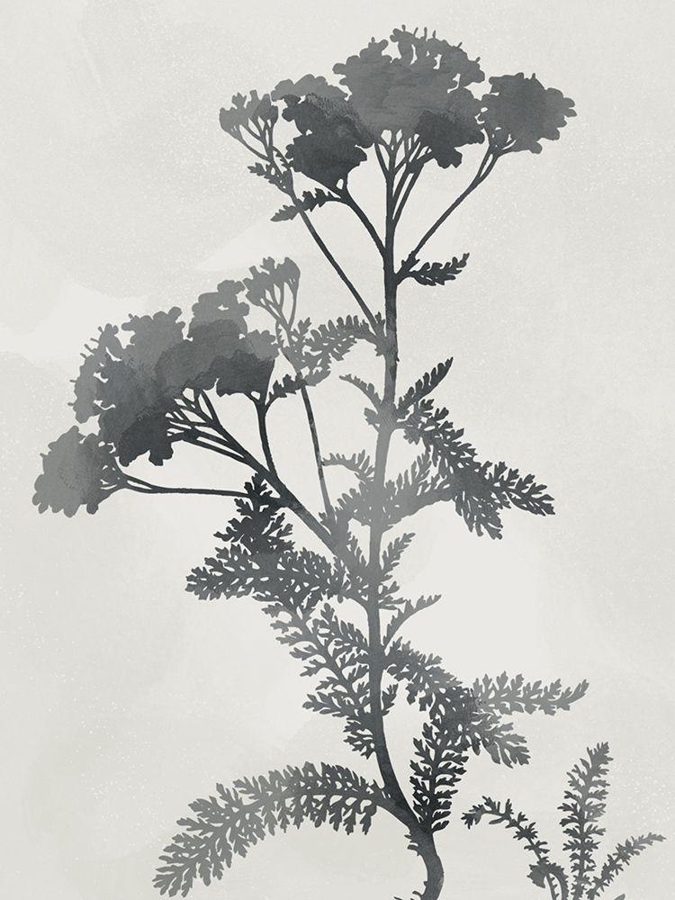 Shadowed Botanical art print by Marcus Prime for $57.95 CAD