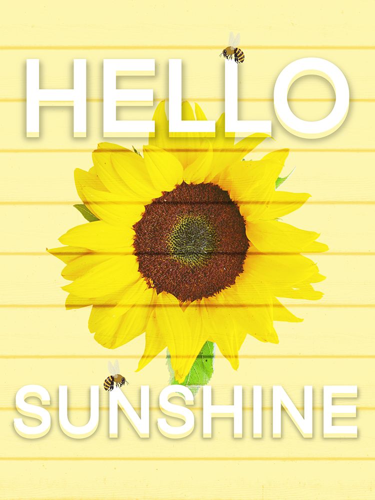 Hello Sunsine 2 art print by Marcus Prime for $57.95 CAD