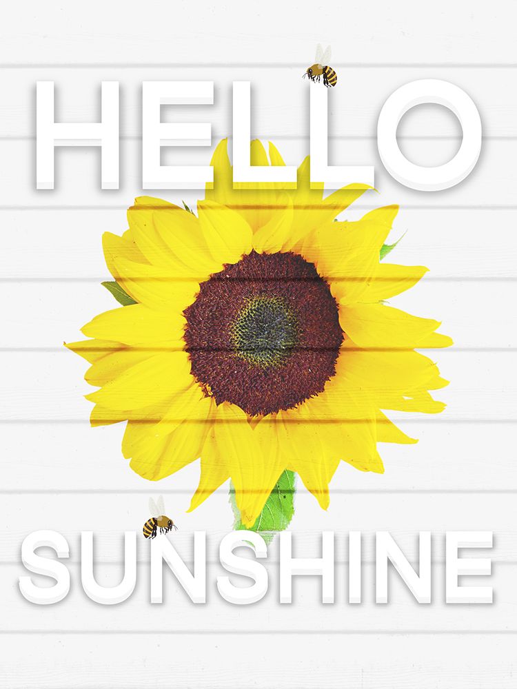 Hello Sunsine 1 art print by Marcus Prime for $57.95 CAD