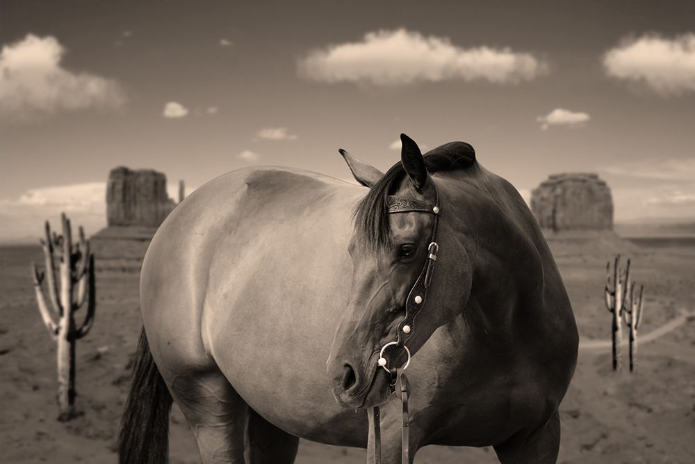 Horse On The Range art print by Marcus Prime for $57.95 CAD