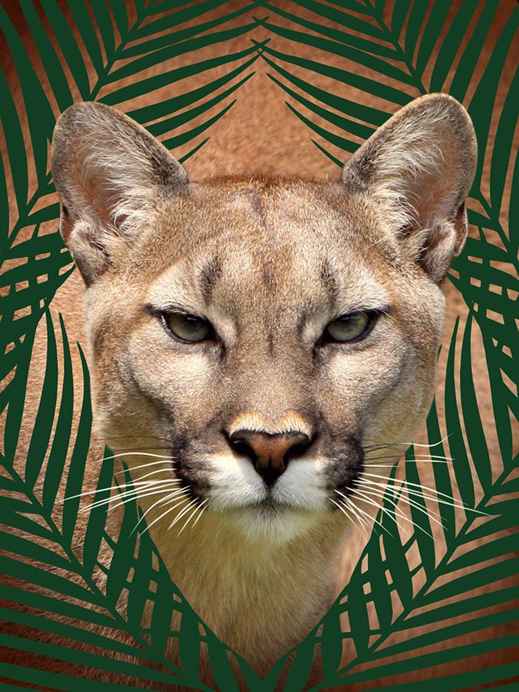 Roaming Wild 3 art print by Marcus Prime for $57.95 CAD