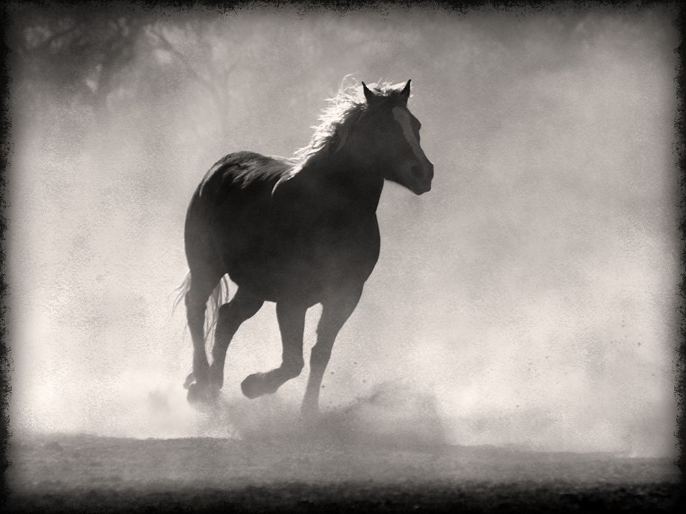 Smoky Stallion 1 art print by Marcus Prime for $57.95 CAD
