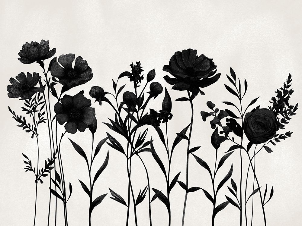 Flowers In Shadow 2 art print by Marcus Prime for $57.95 CAD