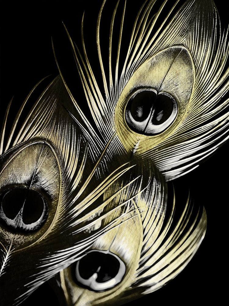 Peacock Gold art print by Marcus Prime for $57.95 CAD
