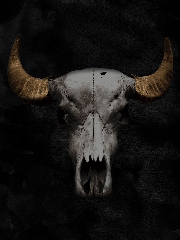 Western Skull 2 art print by Marcus Prime for $57.95 CAD