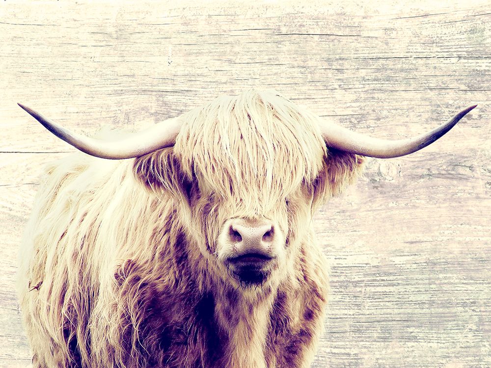 Hairy Stare art print by Marcus Prime for $57.95 CAD