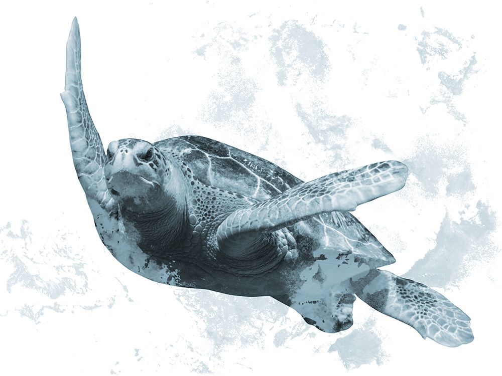 Weathered Turtle 1 art print by Marcus Prime for $57.95 CAD