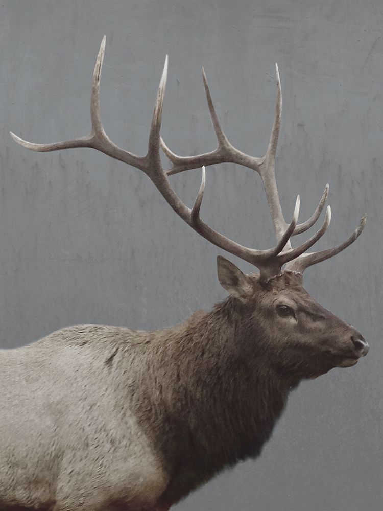 Forest Dweller 1 art print by Marcus Prime for $57.95 CAD