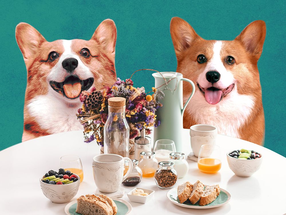 Doggy Breakfast 1 art print by Marcus Prime for $57.95 CAD
