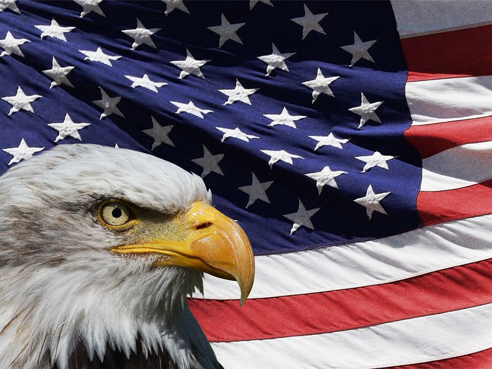 American Pride art print by Marcus Prime for $57.95 CAD