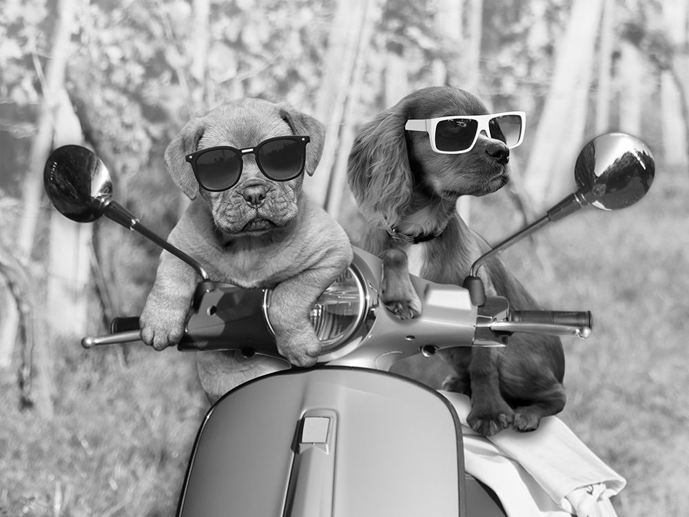 Riding Friends art print by Marcus Prime for $57.95 CAD
