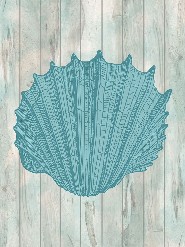 Coastal Shell 1 art print by Marcus Prime for $57.95 CAD