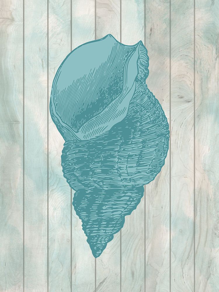 Coastal Shell 2 art print by Marcus Prime for $57.95 CAD