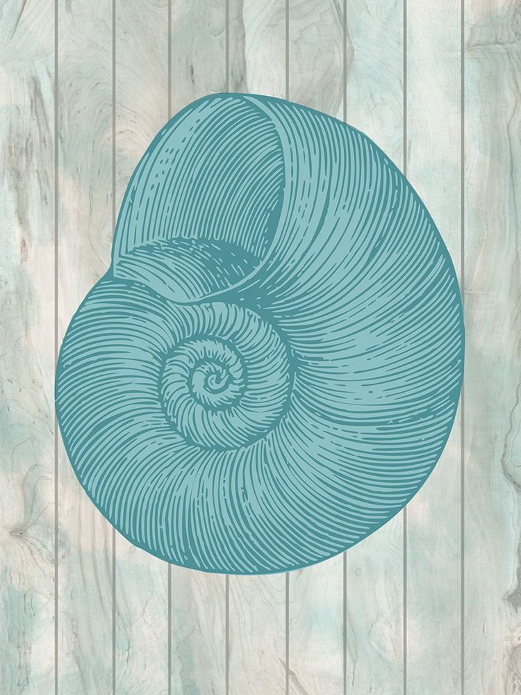 Coastal Shell 3 art print by Marcus Prime for $57.95 CAD