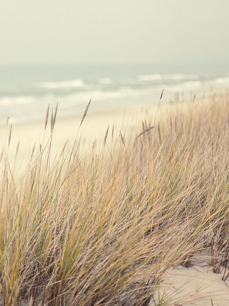 Beach Dream art print by Marcus Prime for $57.95 CAD