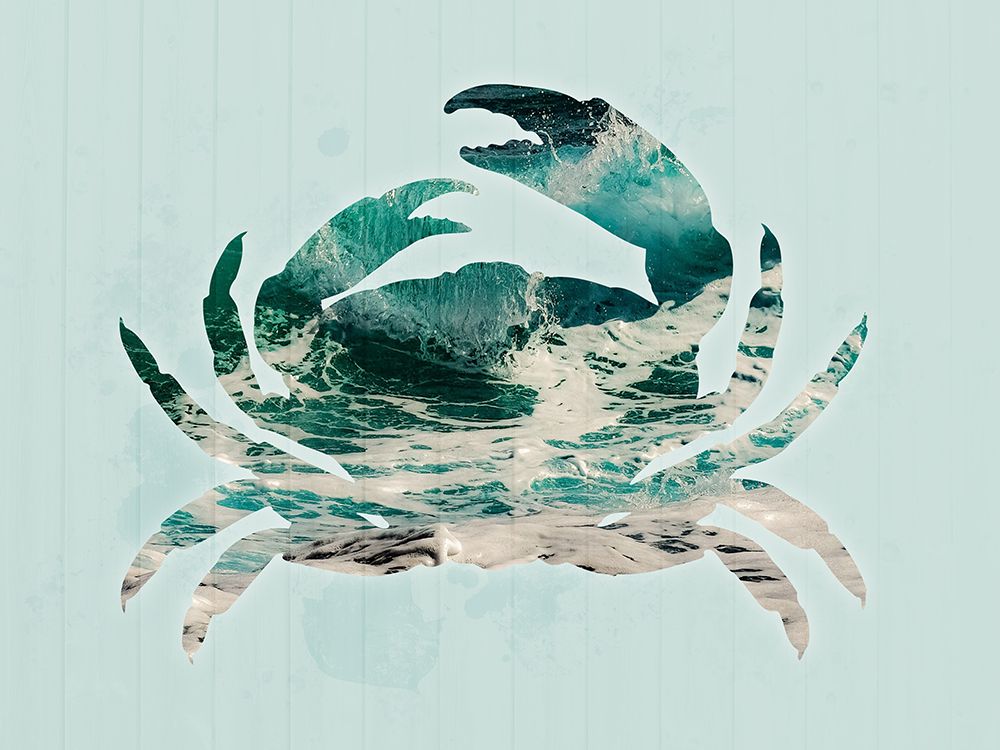 Coastal Crab art print by Marcus Prime for $57.95 CAD