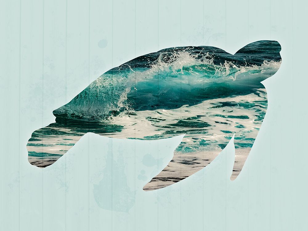 Coastal Turtle 1 art print by Marcus Prime for $57.95 CAD