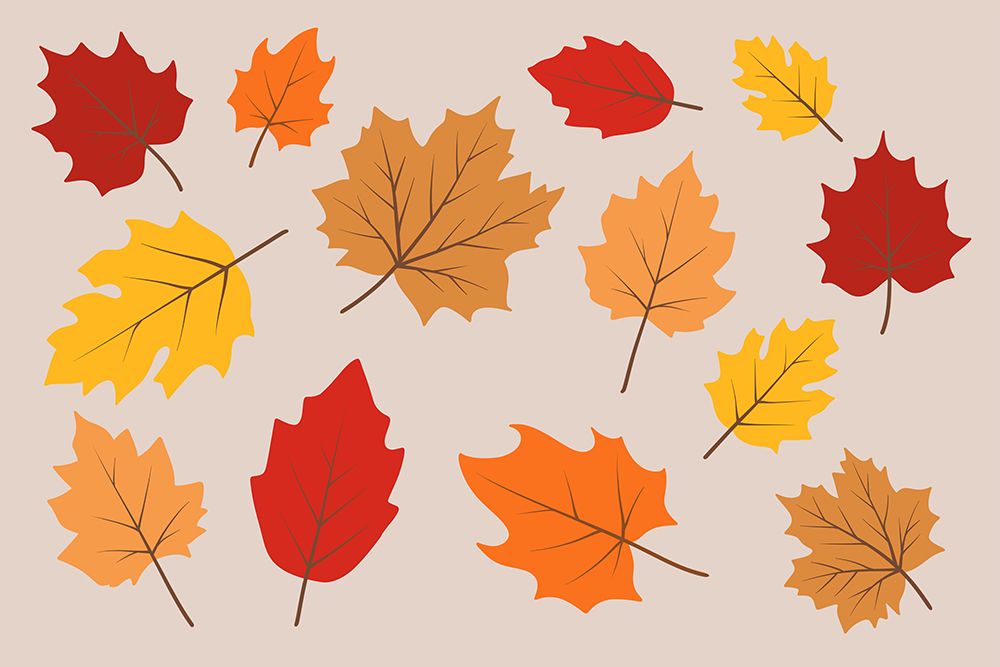 Fall Leaves 1 art print by Marcus Prime for $57.95 CAD