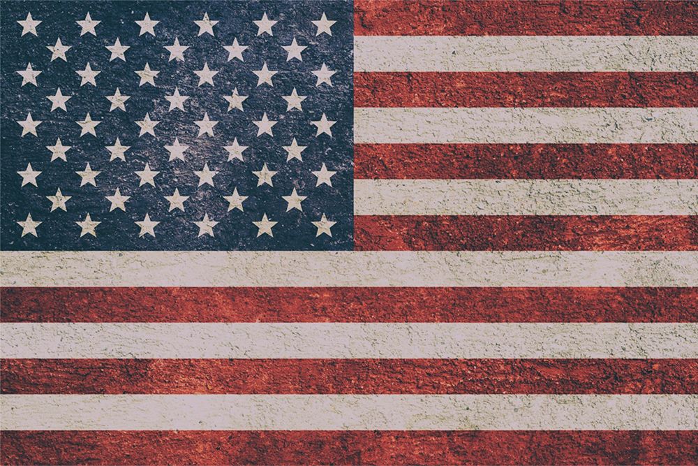 Free America 1 art print by Marcus Prime for $57.95 CAD