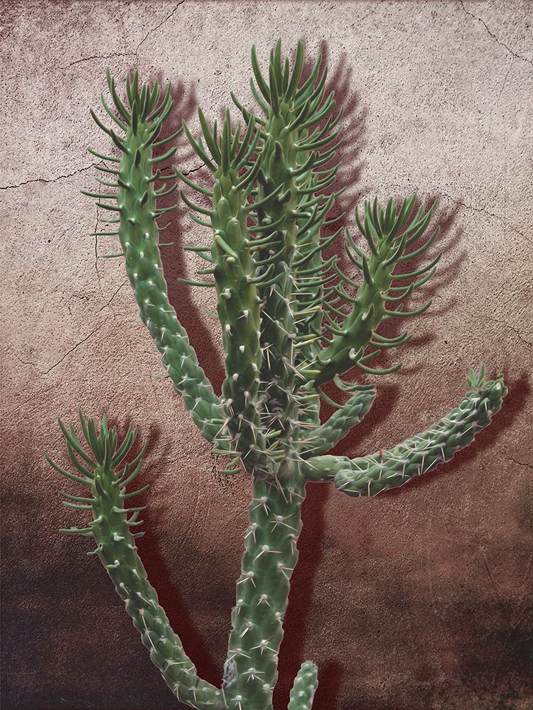 Desert Growth 1 art print by Marcus Prime for $57.95 CAD