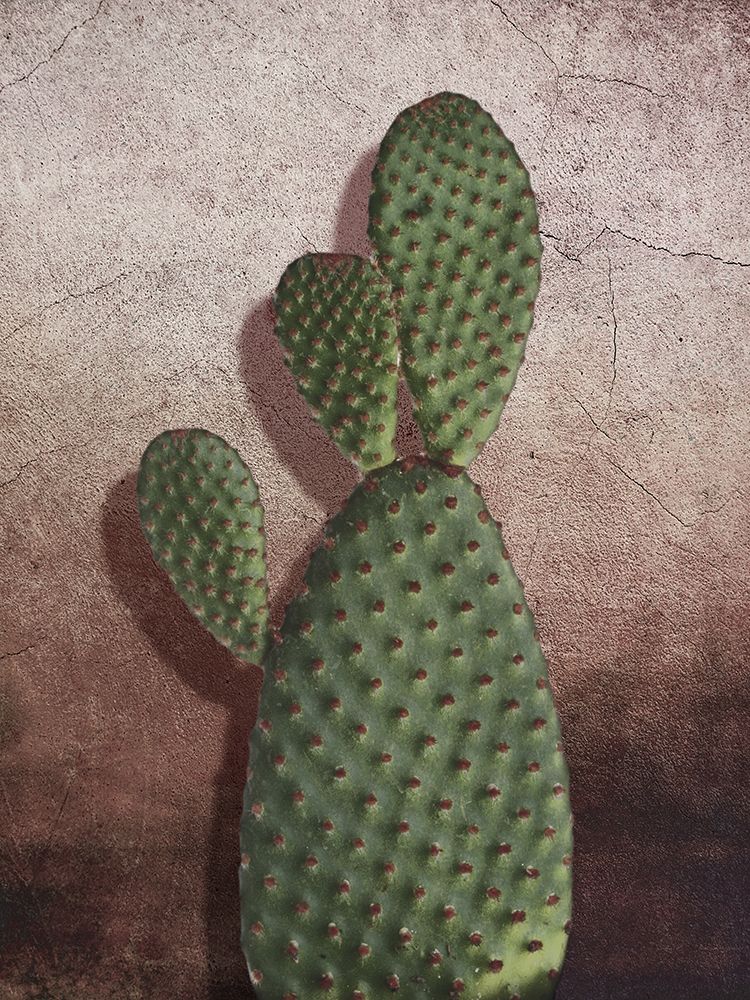 Desert Growth 2 art print by Marcus Prime for $57.95 CAD