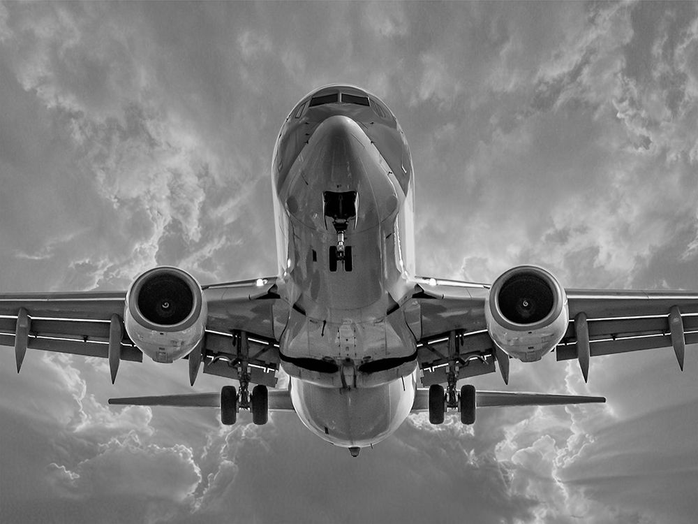 Flying High 1 art print by Marcus Prime for $57.95 CAD