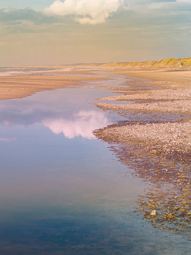 Peaceful Summer art print by Marcus Prime for $57.95 CAD