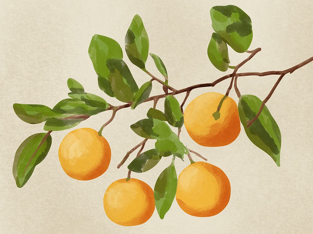 Orange Tree art print by Marcus Prime for $57.95 CAD