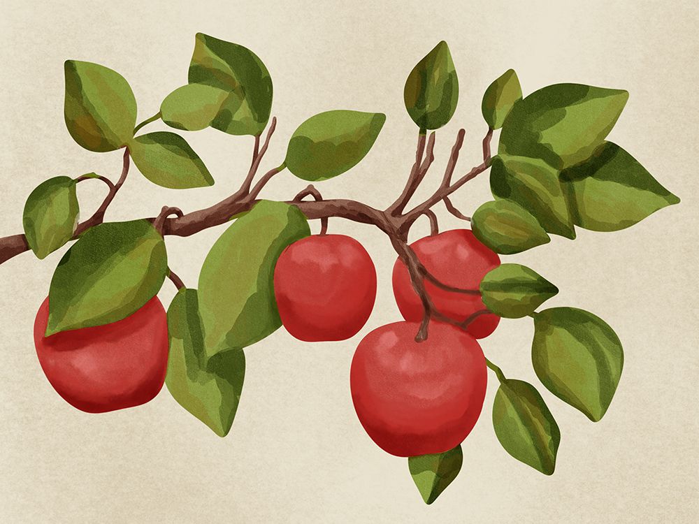 Apple Tree art print by Marcus Prime for $57.95 CAD