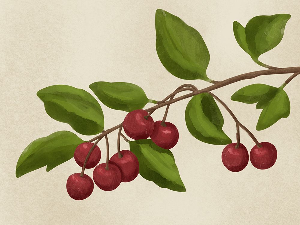 Cherry Tree art print by Marcus Prime for $57.95 CAD