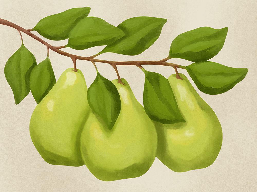 Pear Tree art print by Marcus Prime for $57.95 CAD