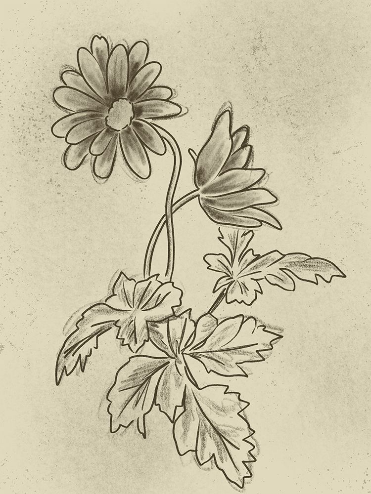 Illustrated Florals 1 art print by Marcus Prime for $57.95 CAD