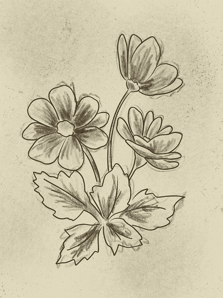 Illustrated Florals 2 art print by Marcus Prime for $57.95 CAD