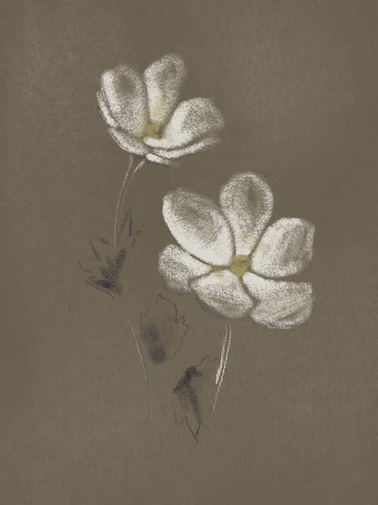 Charcoal Florals 1 art print by Marcus Prime for $57.95 CAD