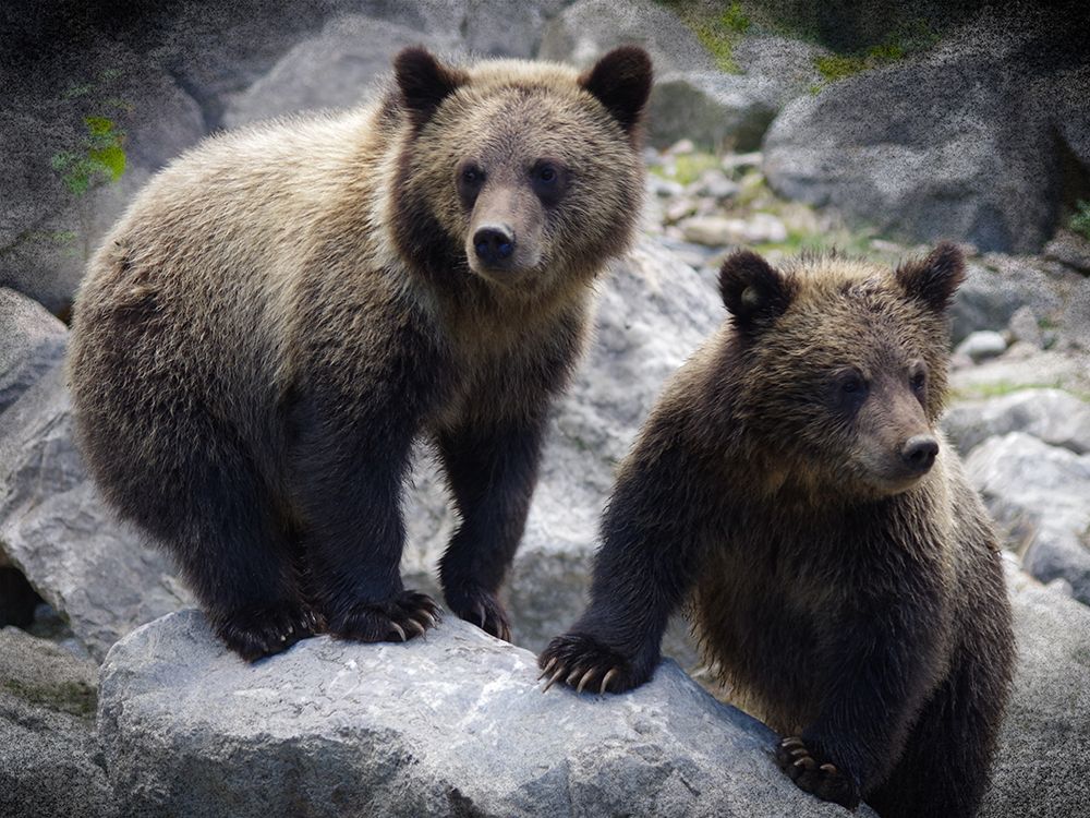 Brotherly Love art print by Marcus Prime for $57.95 CAD