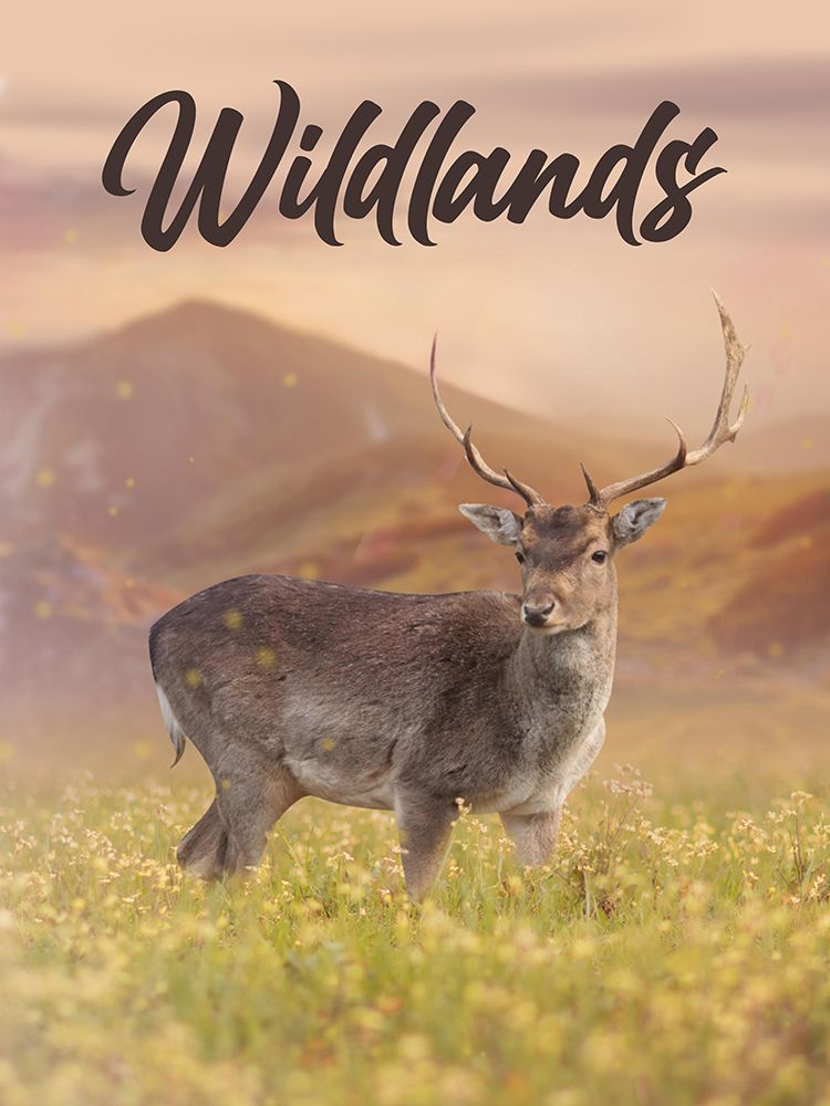 Wildlands art print by Marcus Prime for $57.95 CAD