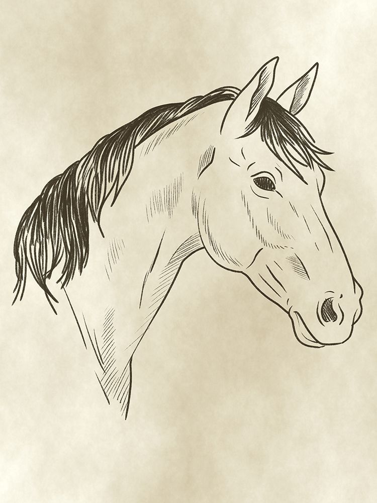Horse Head art print by Marcus Prime for $57.95 CAD