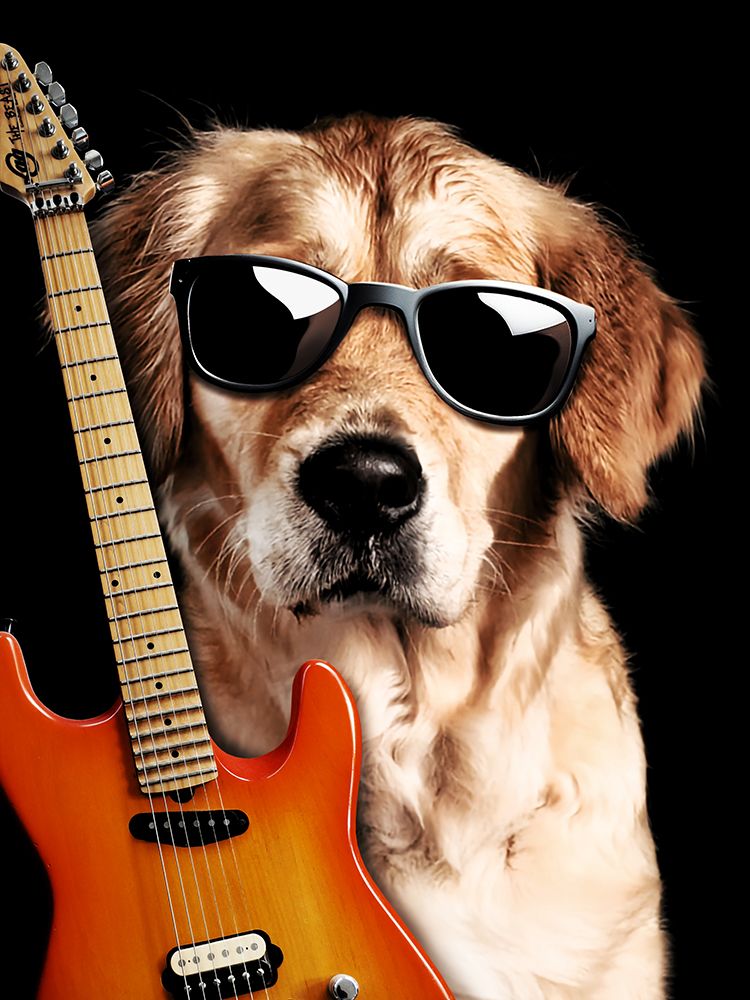 Rockin Dog art print by Marcus Prime for $57.95 CAD