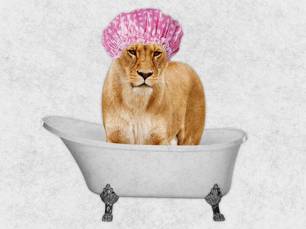 Bathing Lioness 1 art print by Marcus Prime for $57.95 CAD