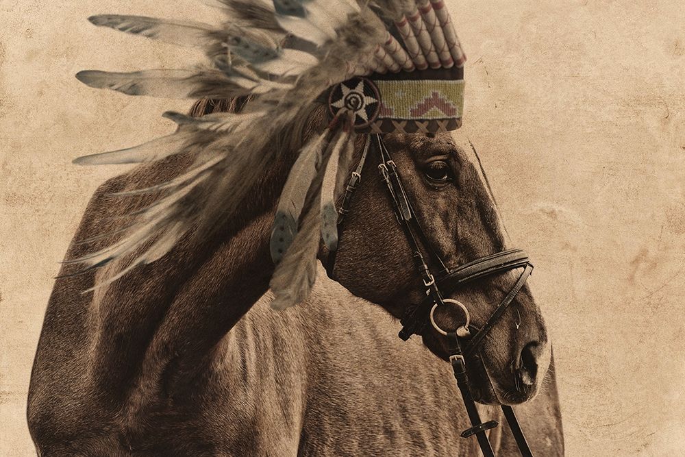 Native Horse art print by Marcus Prime for $57.95 CAD