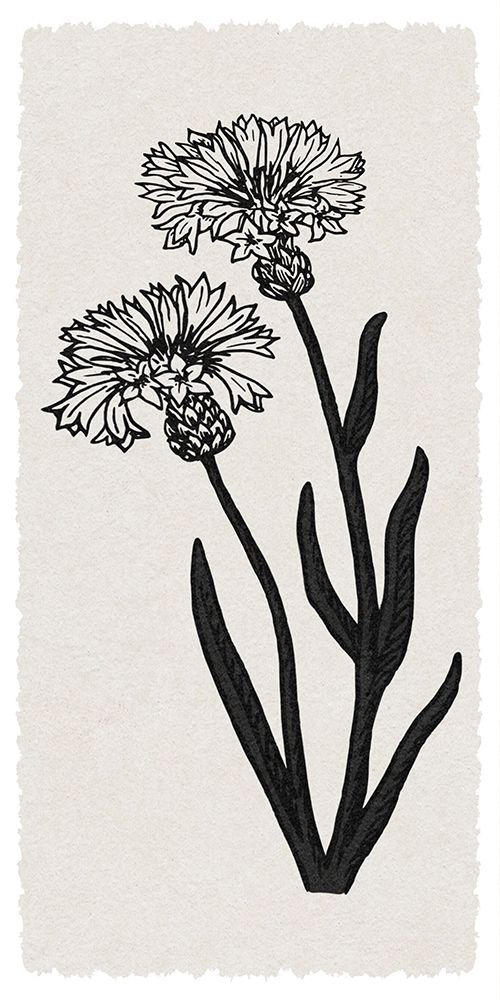 Rural Florals RN art print by Marcus Prime for $57.95 CAD