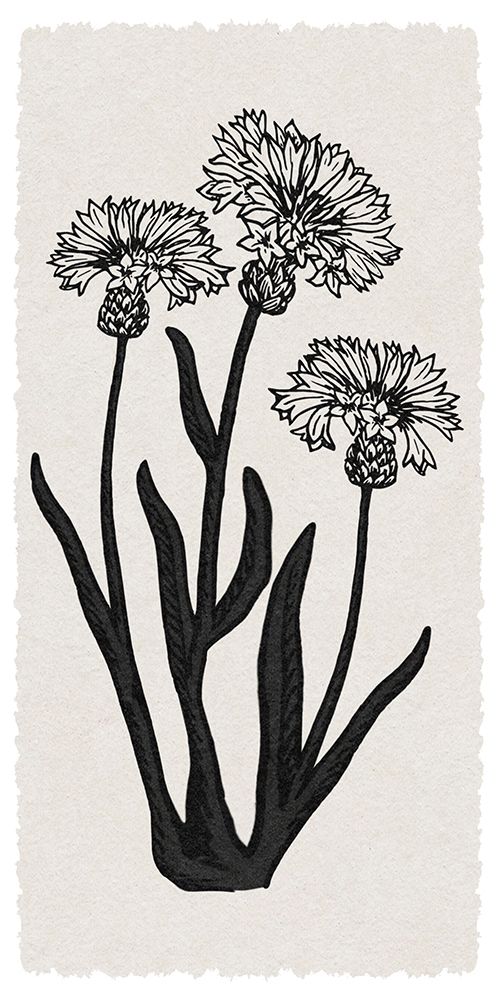 Rural Florals RN 2 art print by Marcus Prime for $57.95 CAD