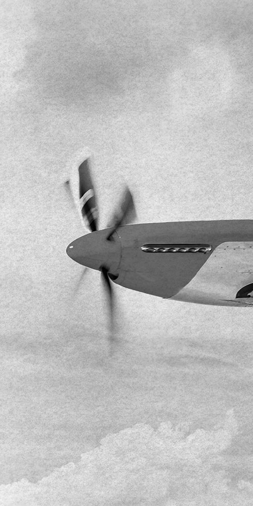 Flying Beauty 1 art print by Marcus Prime for $57.95 CAD