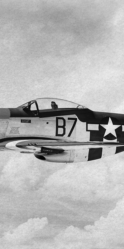 Flying Beauty 2 art print by Marcus Prime for $57.95 CAD