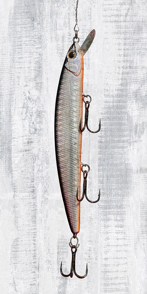 Fishing Lure 1 art print by Marcus Prime for $57.95 CAD