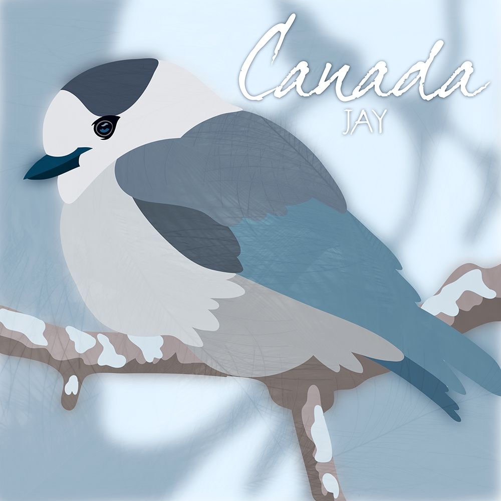 Canada Jay art print by Marcus Prime for $57.95 CAD